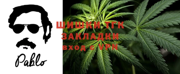соль ск Богородицк